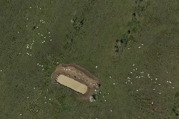 A satellite image showing military deployments and exercises near a border region, highlighting the strategic implications of military posturing.