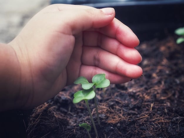 Close-up of a hand planting a seedling in fertile soil, with blurred background showing a lush green forest. The image symbolizes environmental conservation and the importance of sustainable practices for a healthy ecosystem.